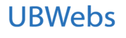 Professional website promotion services,  Bluechip TechnoSys