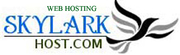 1 Domain   100 MB Webspace only Rs.300