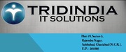 SEO,  SEO Company,  Marketing Companies,  Marketing Services,  Marketing A
