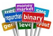MLM Software Company India