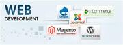Portal Development Company in Delhi