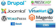 WordPress CMS Development India | WordPress Programmers India