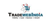 Website Designers in delhi, 