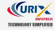 Top SEO Company in Noida