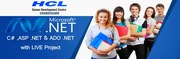Search Engine Optimization profession course in Chandigarh