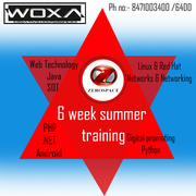 Six Week  Training in Faridabad