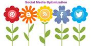 seo training in arumbakkam