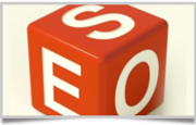 The Professional SEO Company Ahmedabad