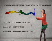 Leading CMS Development Company in Bangalore