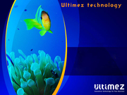  Proficient SEO Company in Hubli