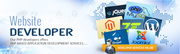 Affordable web development  Services in Kolkata - Rs 5000