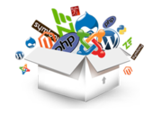 Experience the Best Web Development Company in India @ +91 995-814-650