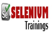 SELENIUM SERVER ONLINE TRAINING IN CHENNAI