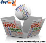 Website designer in Noida