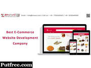 Best Ecommerce development company