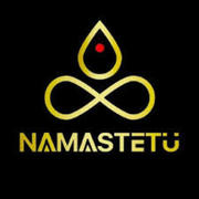 Namastetu Technologies: Top Digital Marketing Company in Indore